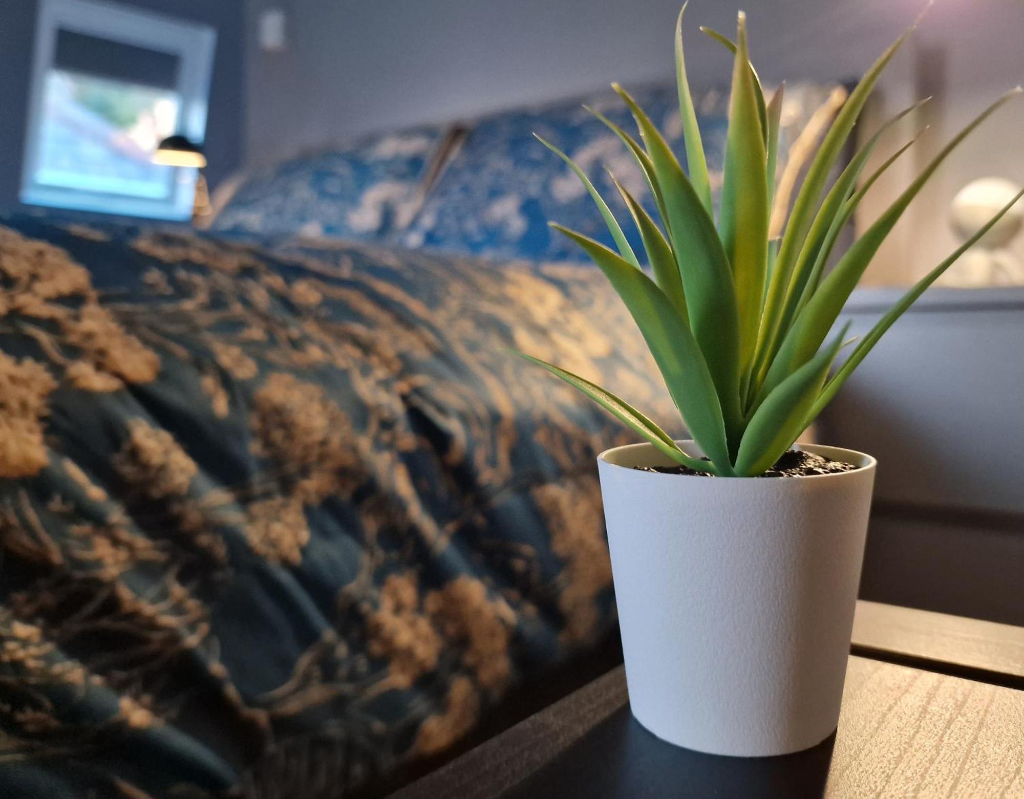The Penthouse Ny Loft Apartment Barmouth Bagian luar foto